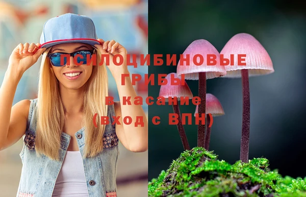 спиды Волоколамск