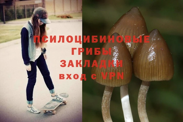 спиды Волоколамск